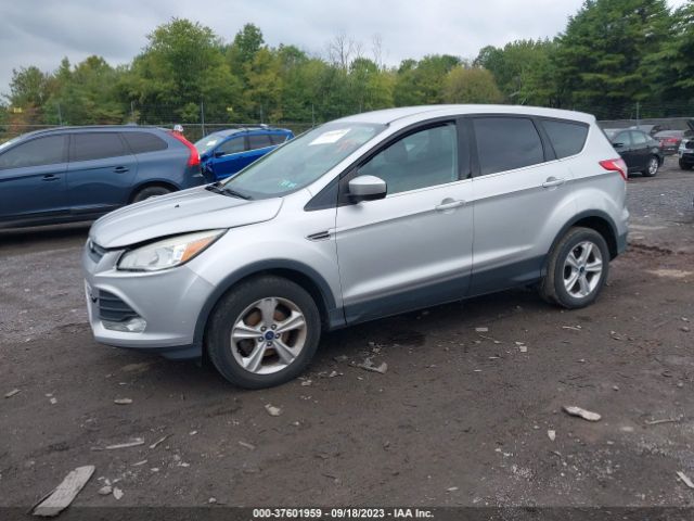 Photo 1 VIN: 1FMCU0GXXDUD91348 - FORD ESCAPE 