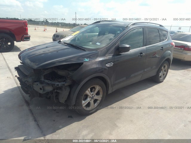 Photo 1 VIN: 1FMCU0GXXEUA29313 - FORD ESCAPE 