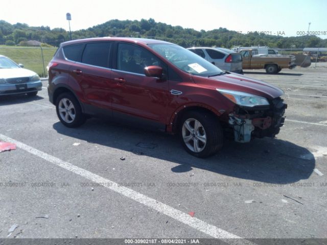 Photo 0 VIN: 1FMCU0GXXEUA70248 - FORD ESCAPE 