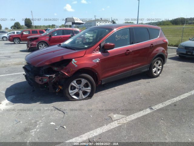 Photo 1 VIN: 1FMCU0GXXEUA70248 - FORD ESCAPE 