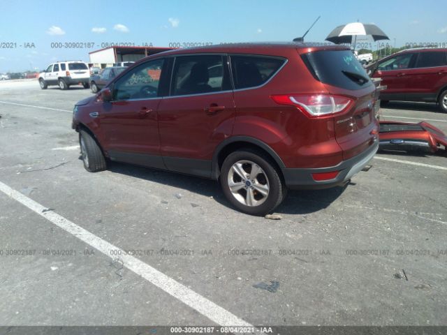 Photo 2 VIN: 1FMCU0GXXEUA70248 - FORD ESCAPE 