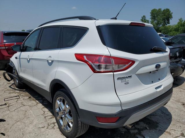 Photo 1 VIN: 1FMCU0GXXEUA76065 - FORD ESCAPE SE 