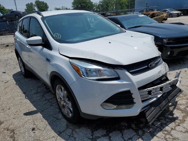 Photo 3 VIN: 1FMCU0GXXEUA76065 - FORD ESCAPE SE 