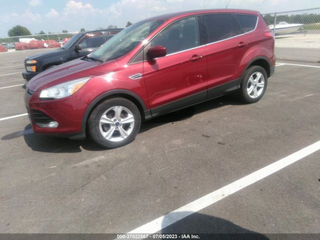 Photo 1 VIN: 1FMCU0GXXEUB26995 - FORD ESCAPE 