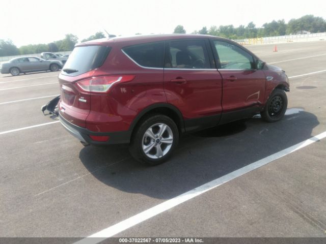 Photo 3 VIN: 1FMCU0GXXEUB26995 - FORD ESCAPE 