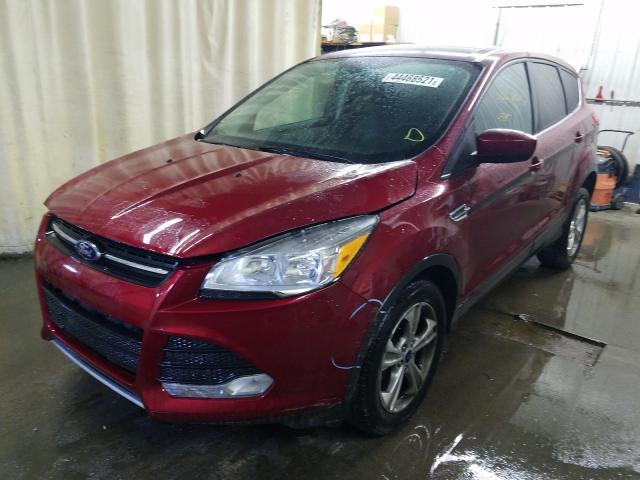 Photo 1 VIN: 1FMCU0GXXEUB46759 - FORD ESCAPE SE 