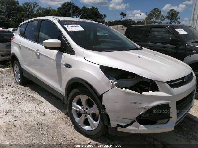 Photo 0 VIN: 1FMCU0GXXEUB55266 - FORD ESCAPE 