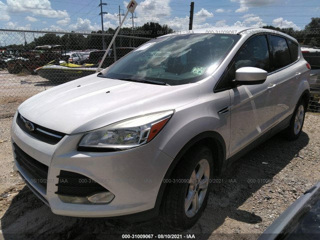 Photo 1 VIN: 1FMCU0GXXEUB55266 - FORD ESCAPE 