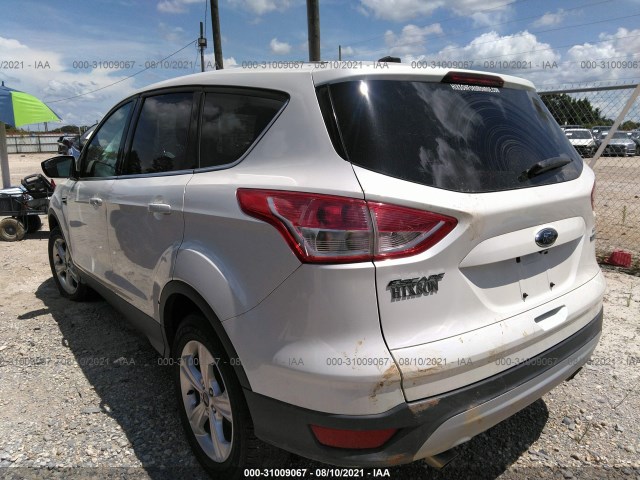 Photo 2 VIN: 1FMCU0GXXEUB55266 - FORD ESCAPE 