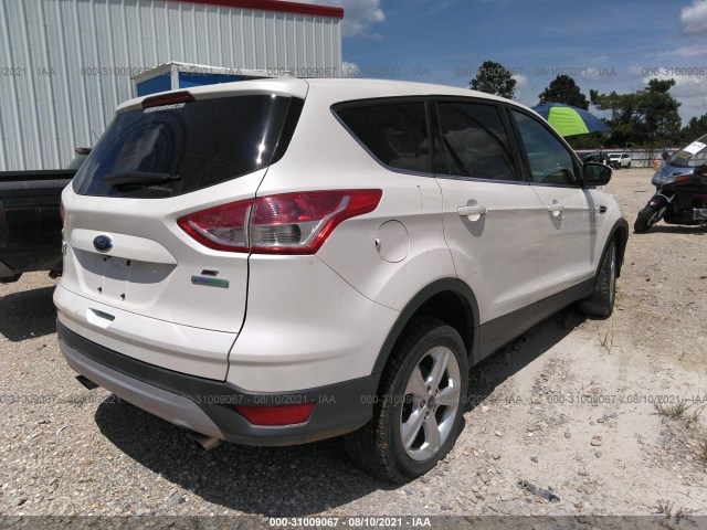 Photo 3 VIN: 1FMCU0GXXEUB55266 - FORD ESCAPE 