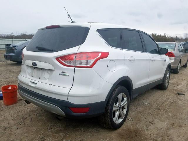 Photo 3 VIN: 1FMCU0GXXEUB93807 - FORD ESCAPE SE 