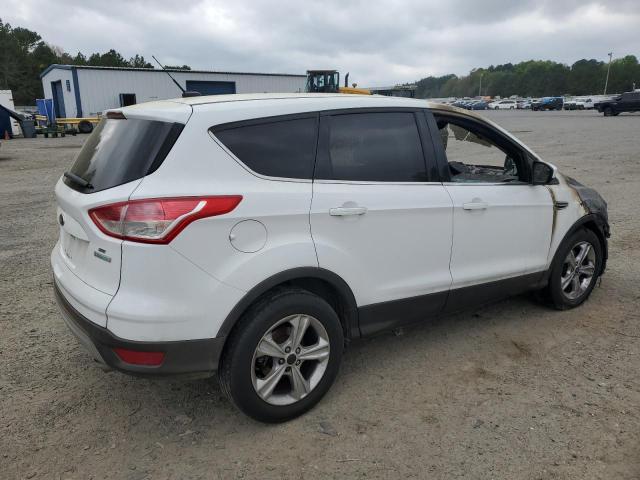 Photo 2 VIN: 1FMCU0GXXEUC02960 - FORD ESCAPE 