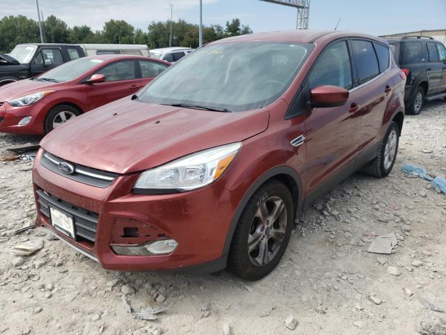 Photo 1 VIN: 1FMCU0GXXEUC06393 - FORD ESCAPE SE 