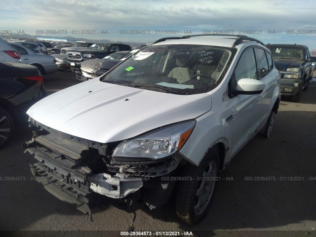 Photo 1 VIN: 1FMCU0GXXEUC07995 - FORD ESCAPE 