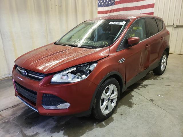 Photo 1 VIN: 1FMCU0GXXEUC93485 - FORD ESCAPE SE 