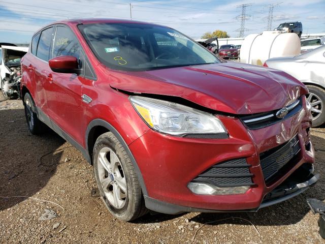 Photo 0 VIN: 1FMCU0GXXEUD06901 - FORD ESCAPE SE 