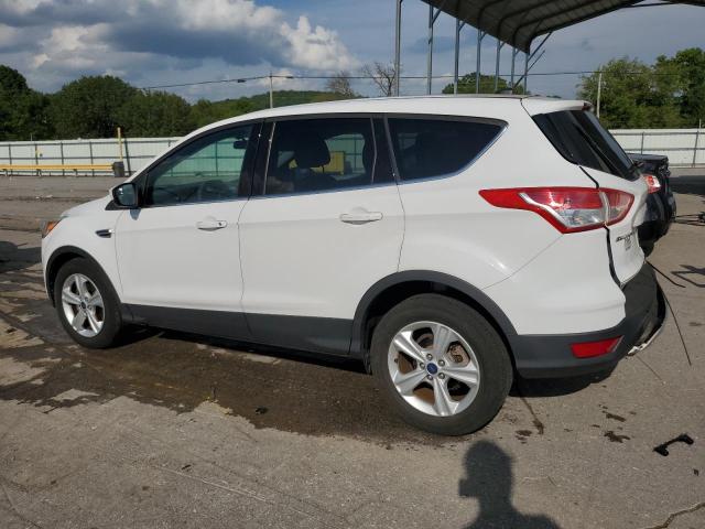 Photo 1 VIN: 1FMCU0GXXEUD55631 - FORD ESCAPE 