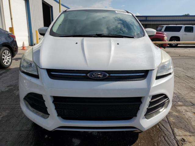 Photo 4 VIN: 1FMCU0GXXEUD55631 - FORD ESCAPE 