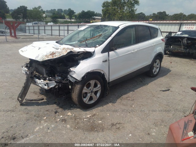 Photo 1 VIN: 1FMCU0GXXEUE11857 - FORD ESCAPE 