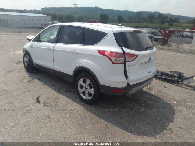 Photo 2 VIN: 1FMCU0GXXEUE11857 - FORD ESCAPE 