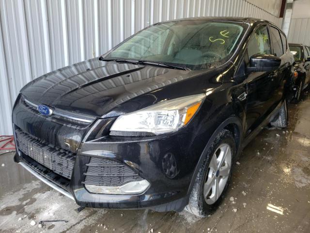 Photo 1 VIN: 1FMCU0GXXEUE40291 - FORD ESCAPE SE 