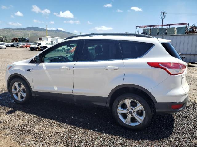 Photo 1 VIN: 1FMCU0GXXEUE53770 - FORD ESCAPE 