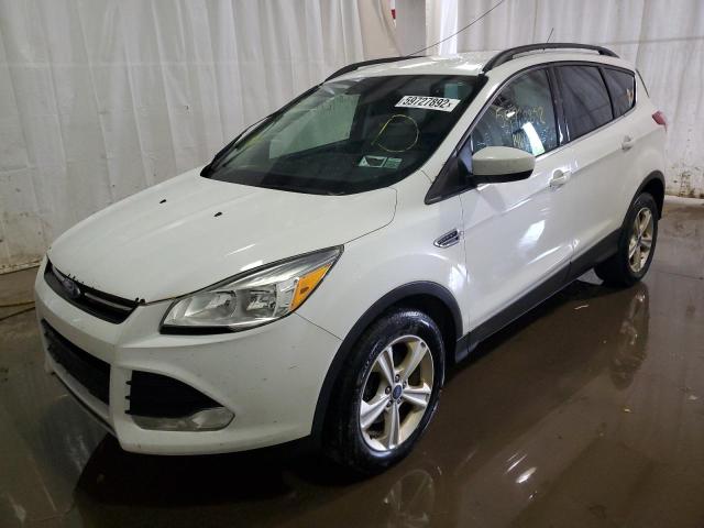 Photo 1 VIN: 1FMCU0GXXGUA69894 - FORD ESCAPE SE 