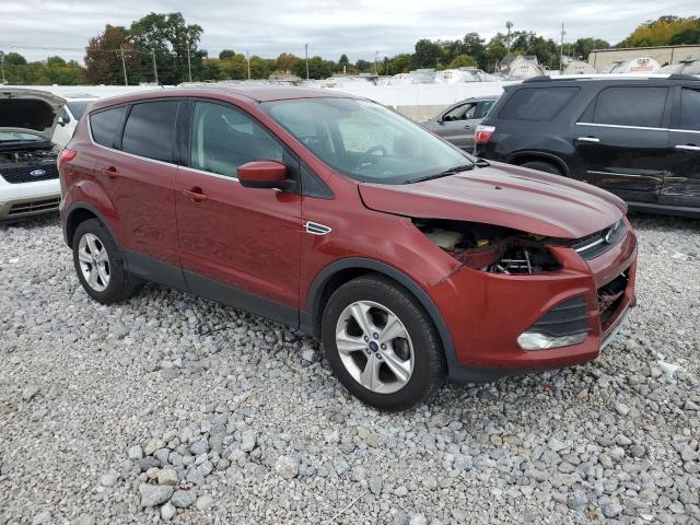 Photo 3 VIN: 1FMCU0GXXGUA73914 - FORD ESCAPE 