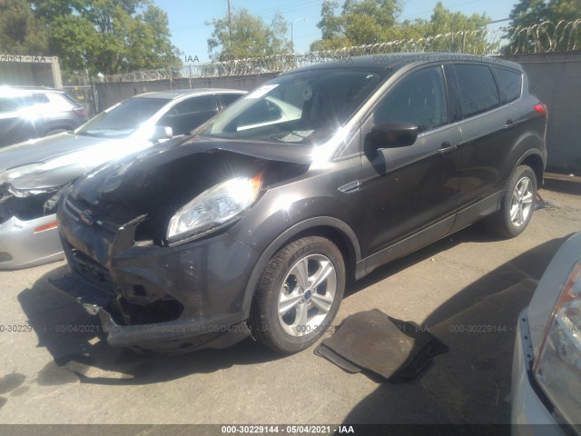 Photo 1 VIN: 1FMCU0GXXGUB07981 - FORD ESCAPE 