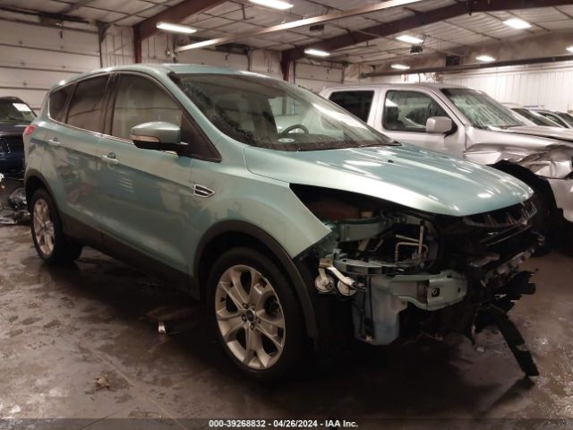 Photo 0 VIN: 1FMCU0H91DUC10587 - FORD ESCAPE 