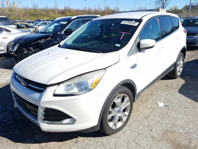 Photo 1 VIN: 1FMCU0H92DUB80578 - FORD ESCAPE SEL 