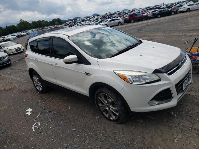 Photo 3 VIN: 1FMCU0H95DUA45725 - FORD ESCAPE SEL 