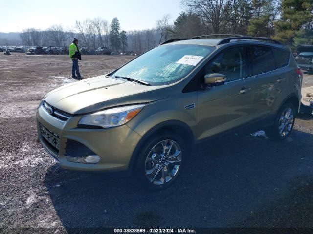 Photo 1 VIN: 1FMCU0H95DUB62527 - FORD ESCAPE 