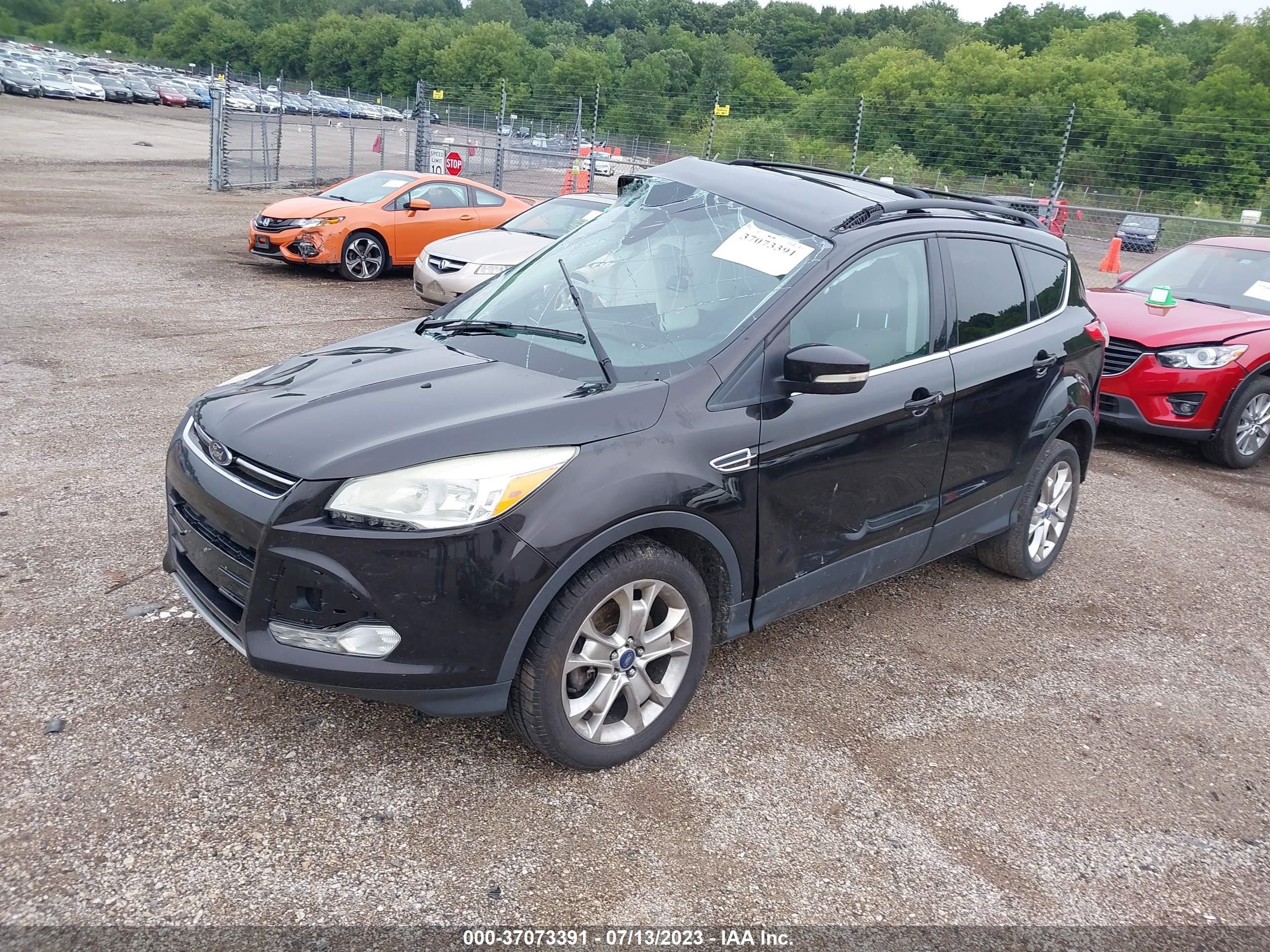 Photo 1 VIN: 1FMCU0H95DUB62530 - FORD ESCAPE 