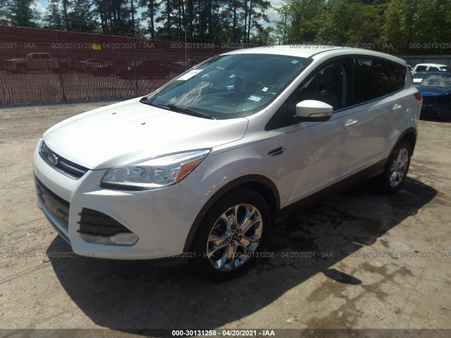 Photo 1 VIN: 1FMCU0H95DUD53302 - FORD ESCAPE 