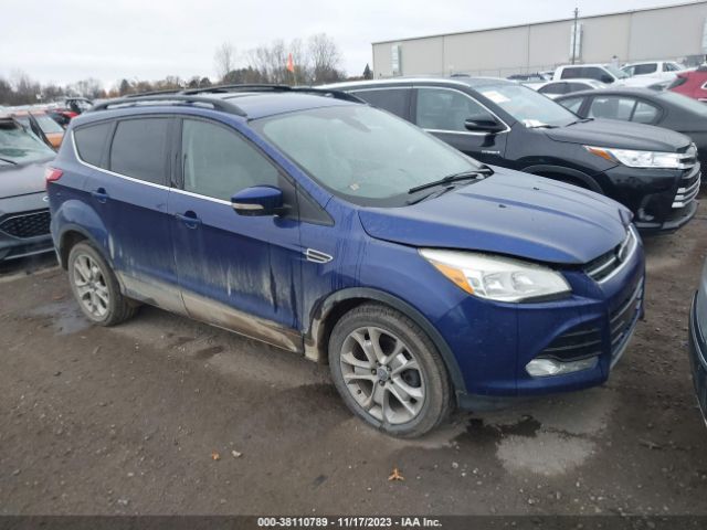 Photo 0 VIN: 1FMCU0H96DUB22733 - FORD ESCAPE 