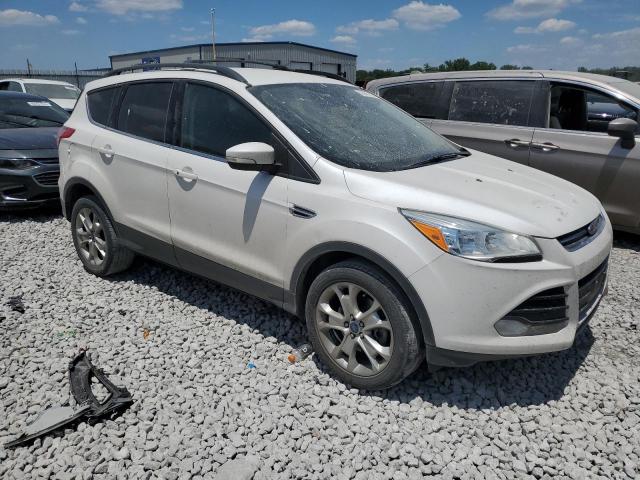 Photo 3 VIN: 1FMCU0H96DUC42645 - FORD ESCAPE 