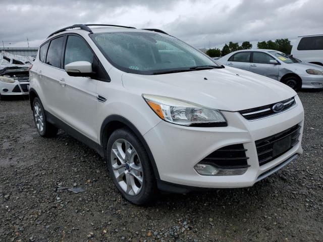 Photo 3 VIN: 1FMCU0H96DUD86535 - FORD ESCAPE 