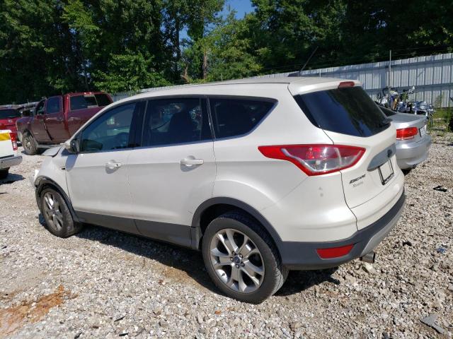 Photo 1 VIN: 1FMCU0H9XDUA79028 - FORD ESCAPE SEL 