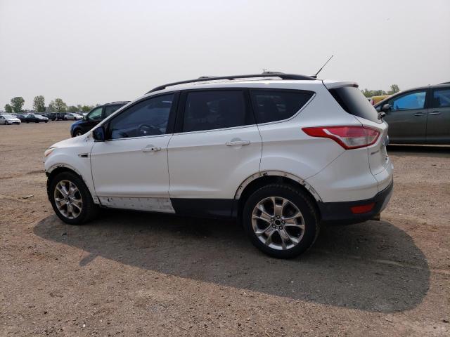 Photo 1 VIN: 1FMCU0H9XDUA89493 - FORD ESCAPE SEL 