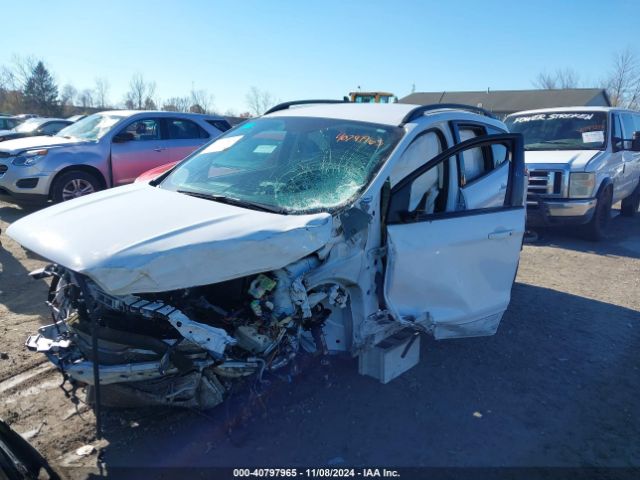 Photo 1 VIN: 1FMCU0HD1KUB62039 - FORD ESCAPE 