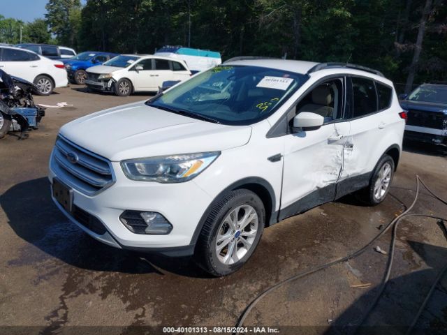 Photo 1 VIN: 1FMCU0HD4KUB95651 - FORD ESCAPE 