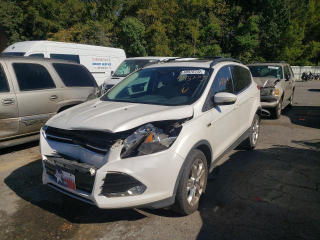 Photo 1 VIN: 1FMCU0HX1DUB95295 - FORD ESCAPE SEL 