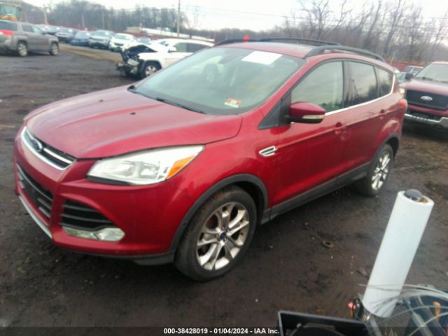 Photo 1 VIN: 1FMCU0HX2DUB29662 - FORD ESCAPE 