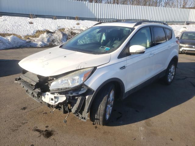 Photo 1 VIN: 1FMCU0HX2DUB78490 - FORD ESCAPE SEL 