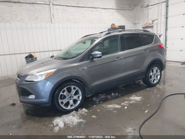 Photo 1 VIN: 1FMCU0HX2DUC12962 - FORD ESCAPE 