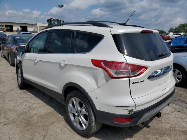 Photo 2 VIN: 1FMCU0HX3DUA71206 - FORD ESCAPE SEL 