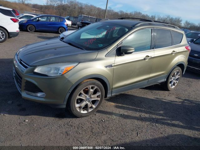 Photo 1 VIN: 1FMCU0HX3DUA90595 - FORD ESCAPE 