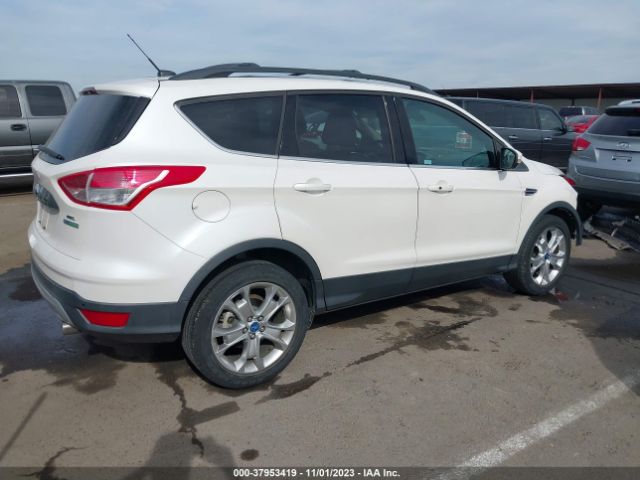 Photo 3 VIN: 1FMCU0HX3DUB83519 - FORD ESCAPE 