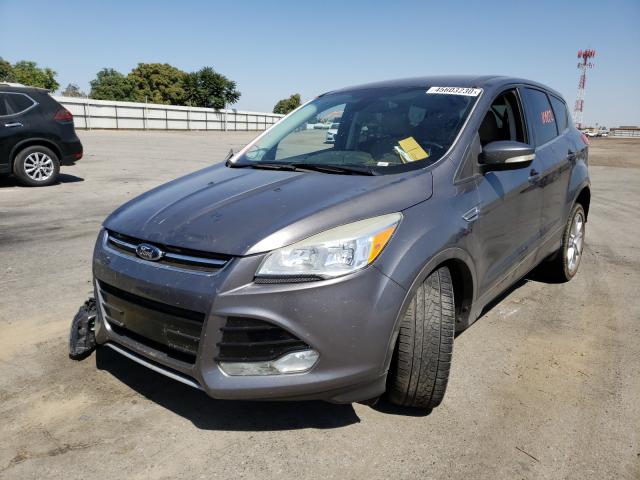 Photo 1 VIN: 1FMCU0HX5DUA81591 - FORD ESCAPE SEL 